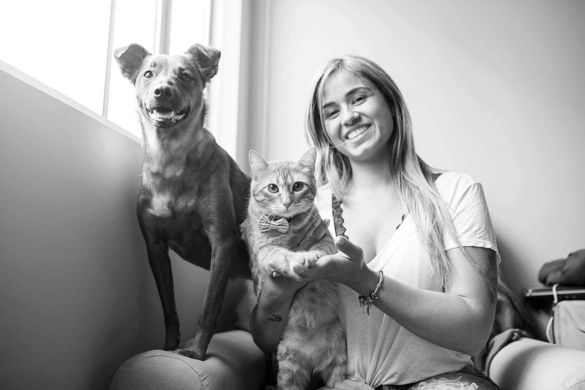 Animais de Companhia
